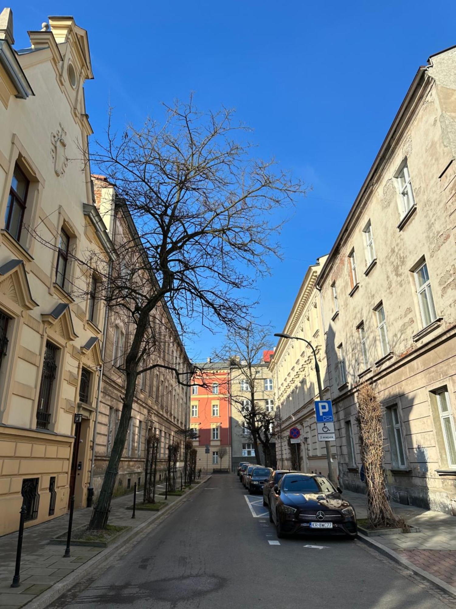 Perfect place to stay in Kraków City Center 36m2 W3 Zewnętrze zdjęcie